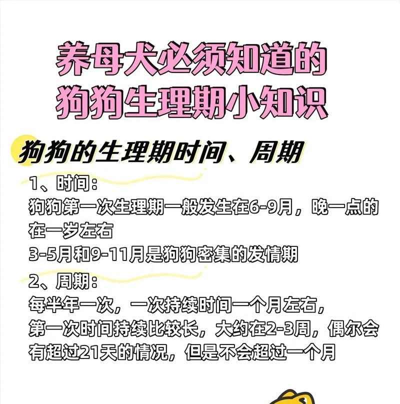 母狗的哺乳频率及其（了解母狗哺乳的规律及喂养注意事项）(图1)