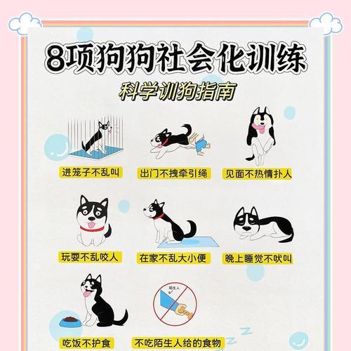 如何正确抱起一只狗狗（训练指南及技巧，让你和狗狗更安全快乐地互动）(图3)