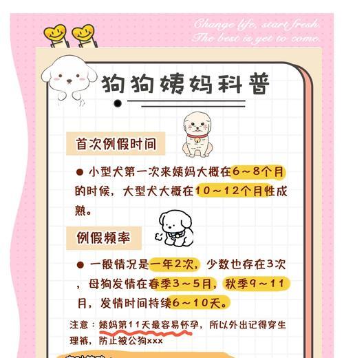 母狗的哺乳频率及其（了解母狗哺乳的规律及喂养注意事项）(图2)
