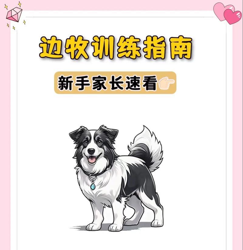 如何正确抱起一只狗狗（训练指南及技巧，让