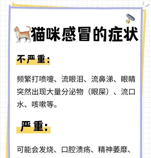 猫感冒（探究猫感冒的康复时间及其影响因素）(图3)