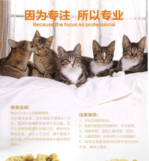 宠物小鱼的喂养频率及注意事项（了解宠物小鱼的饮食习惯，做好喂养的准备）(图3)