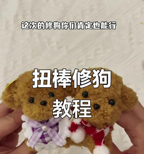 宠物狗造型（揭秘狗狗造型修剪的最佳时间和频率）(图3)