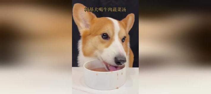 柯基犬的健康蔬菜饮食指南（探索适合柯基犬的营养均衡蔬菜选择）(图2)
