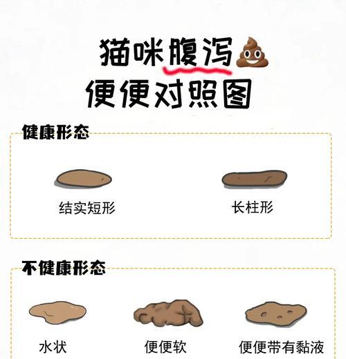 探究健康猫咪的排便状况（猫咪便便判断图助你了解它的健康状况）(图2)