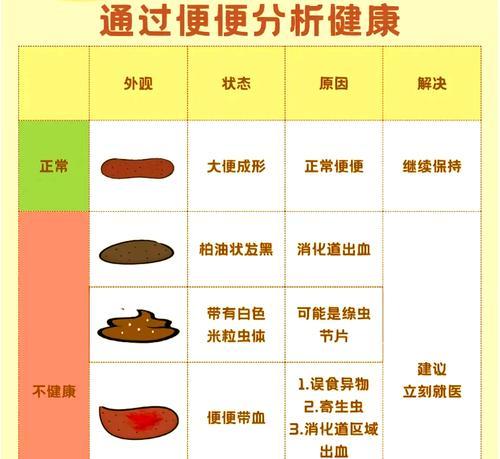 探究健康猫咪的排便状况（猫咪便便判断图助你了解它的健康状况）(图1)
