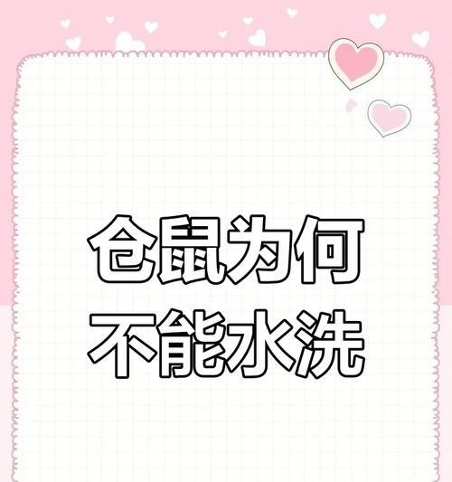 仓鼠洗澡的频率与注意事项（养仓鼠必读，它们的洗澡习惯与健康需求）(图1)