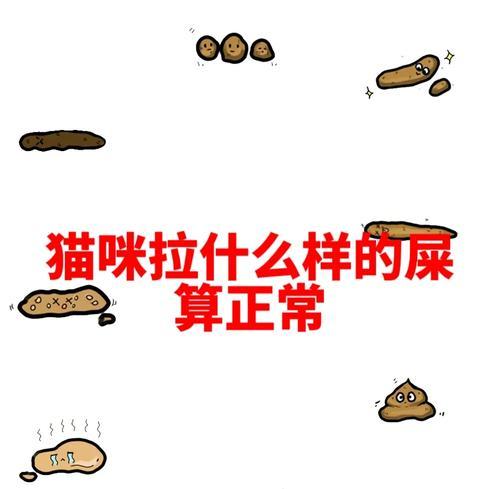 探究健康猫咪的排便状况（猫咪便便判断图助你了解它的健康状况）(图3)