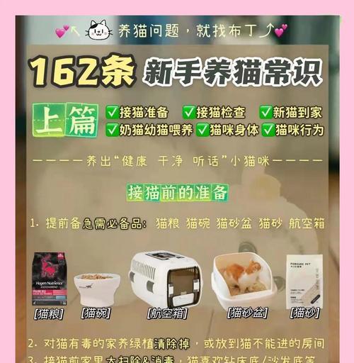 新手养猫的注意事项（为你的新成员提供最佳
