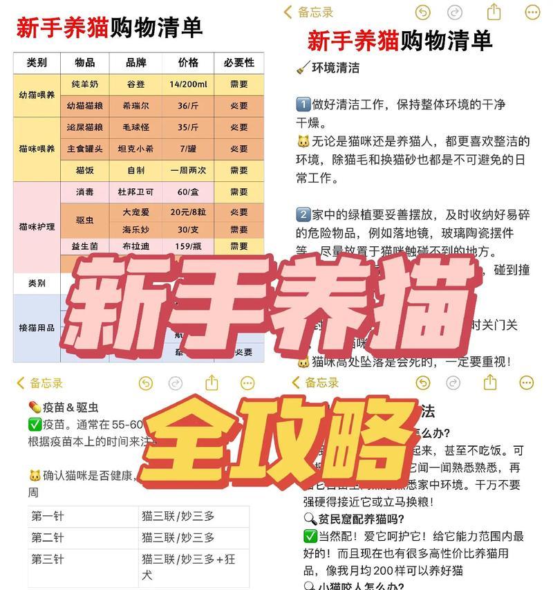 新手养猫的注意事项（为你的新成员提供最佳照顾）(图2)