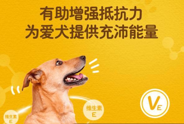 狗狗增强抵抗力的药物——保障宠物健康（探索药物改善狗狗免疫系统的有效方法）(图1)