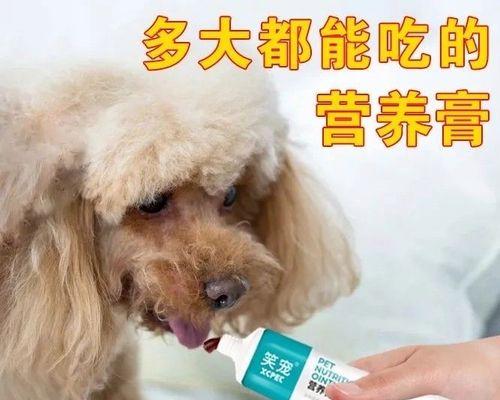 金毛营养膏能吃多久？（探究金毛营养膏的持久效果）(图2)