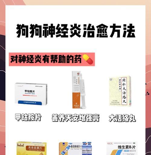 狗狗增强抵抗力的药物——保障宠物健康（探索药物改善狗狗免疫系统的有效方法）(图3)