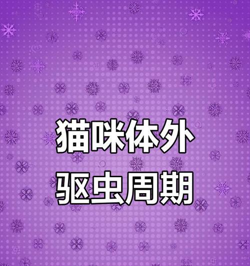 猫的驱虫周期及注意事项（科学驱虫保护猫咪健康）(图1)