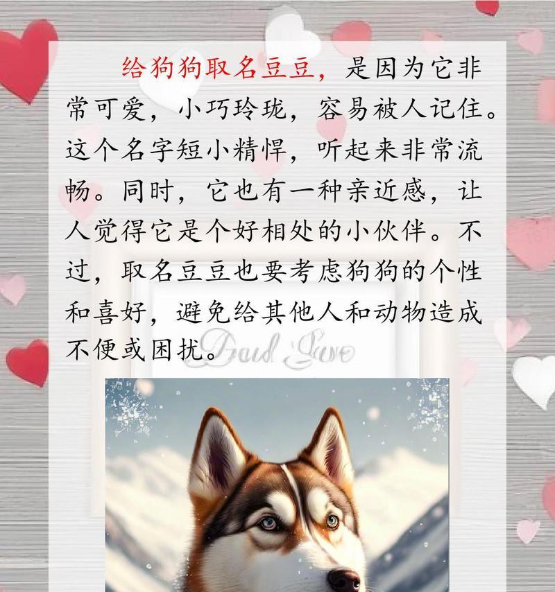 狗的记忆力（揭秘狗狗记忆力的奥秘和限制）(图1)