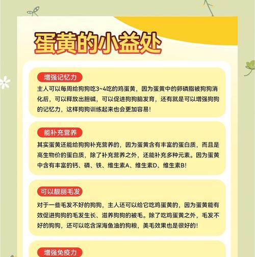 狗狗可以吃蛋白和蛋黄吗?(错误的喂食方法可能会导致中毒)(图2) 狗狗可以吃蛋白和蛋黄吗?(错误的喂食方法可能会导致中毒)(图2)