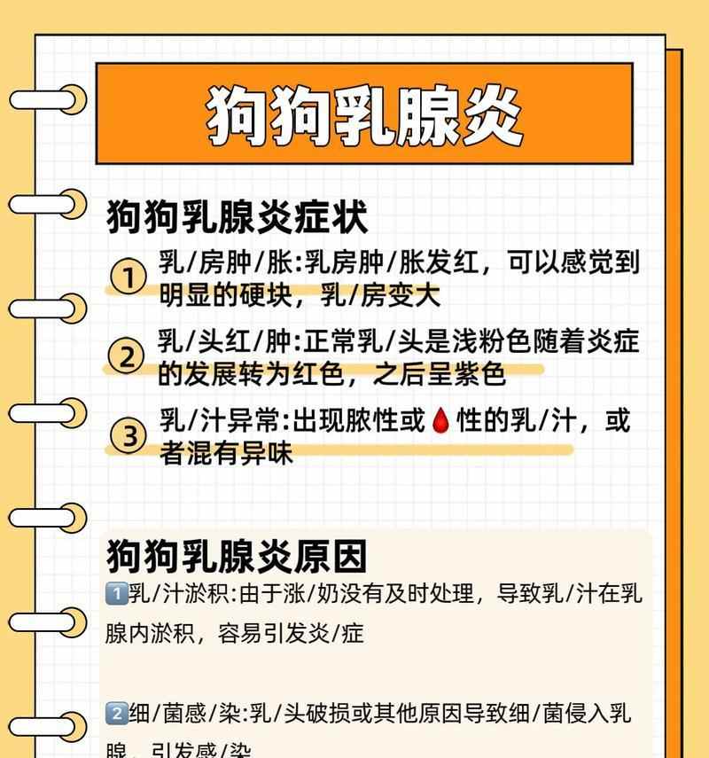 狗产后乳腺炎的症状及处理方法(了解狗产后乳腺炎的常见症状,保护母狗健康!)(图1) 狗产后乳腺炎的症状及处理方法(了解狗产后乳腺炎的常见症状,保护母狗健康!)(图1)