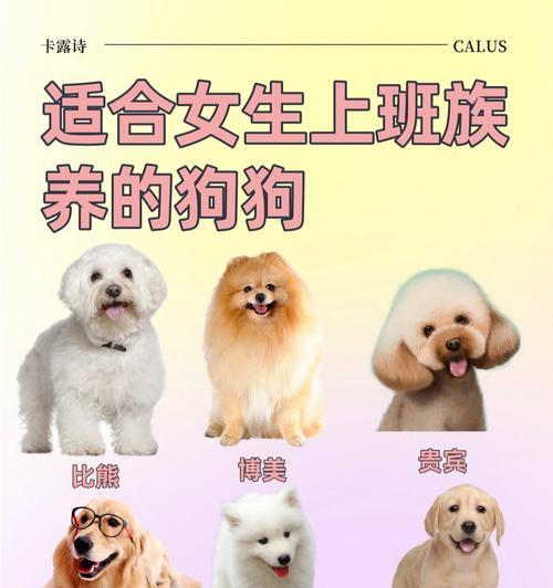 不同品种的宠物你了解多少？（探索世界上最受欢迎的宠物品种，你可能会惊讶！）(图2)