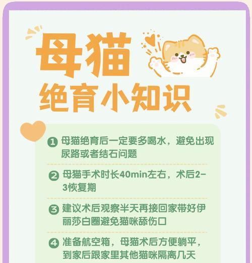 母猫绝育后的恢复时间及注意事项（详解母猫绝育术后恢复时程和必要护理措施）(图3)