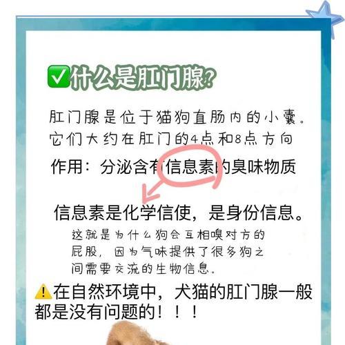 为什么狗狗洗澡了还是感觉臭臭的?(肛门腺问题可能是原因)(图3) 为什么狗狗洗澡了还是感觉臭臭的?(肛门腺问题可能是原因)(图3)