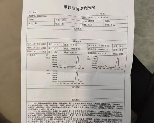 狗滴虫治疗时长究竟需要多久?(揭开治疗狗滴虫的时间之谜)(图1) 狗滴虫治疗时长究竟需要多久?(揭开治疗狗滴虫的时间之谜)(图1)