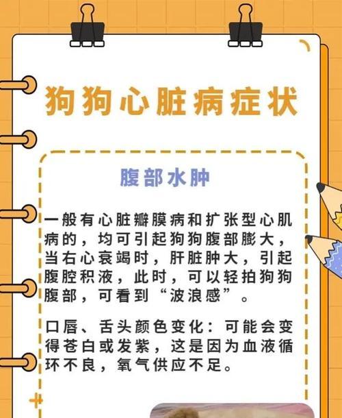 幼犬生病（了解幼犬生病的表现，保证它们的健康和幸福）(图1)