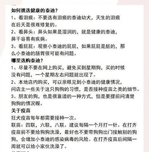 秋季饲养泰迪的注意事项(关爱宠物健康,合理照料泰迪的秋季饲养要点)(图1) 秋季饲养泰迪的注意事项(关爱宠物健康,合理照料泰迪的秋季饲养要点)(图1)