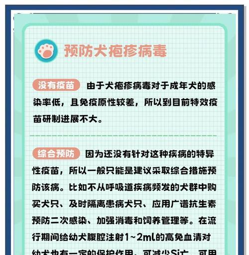 预防与治疗狗狗冠状病毒的方法（保护宠物狗免受冠状病毒感染的有效措施）(图3)