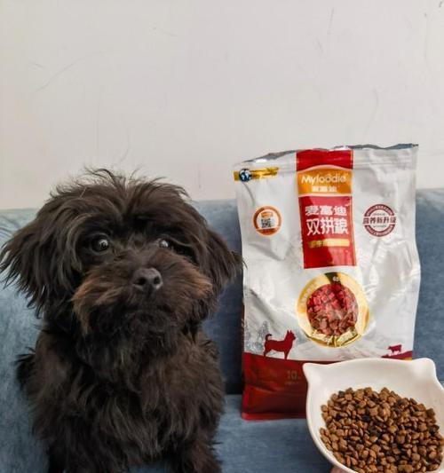 预防与治疗狗狗冠状病毒的方法（保护宠物狗