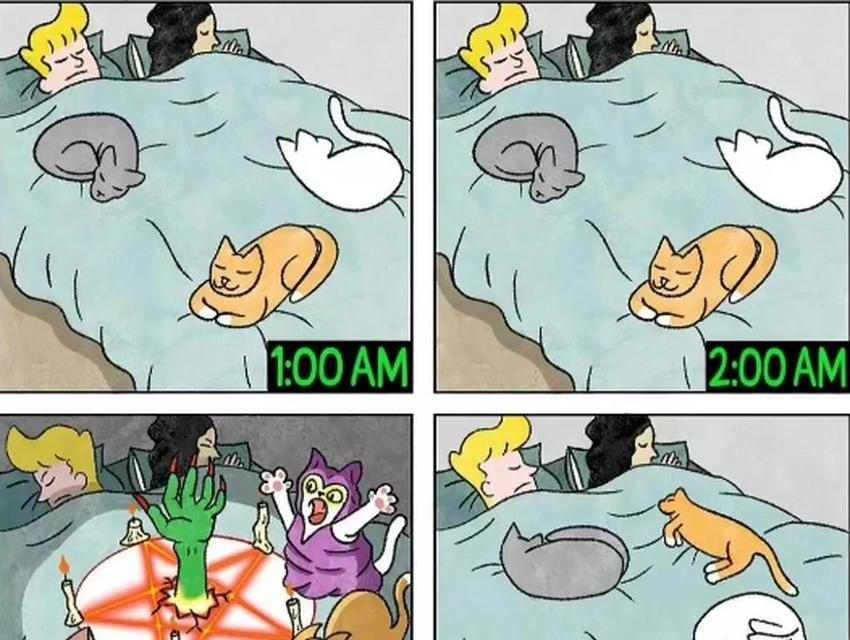 如何训练猫咪不上床(有效方法和关键技巧教你让猫咪不再在床上乱蹦)(图2) 如何训练猫咪不上床(有效方法和关键技巧教你让猫咪不再在床上乱蹦)(图2)