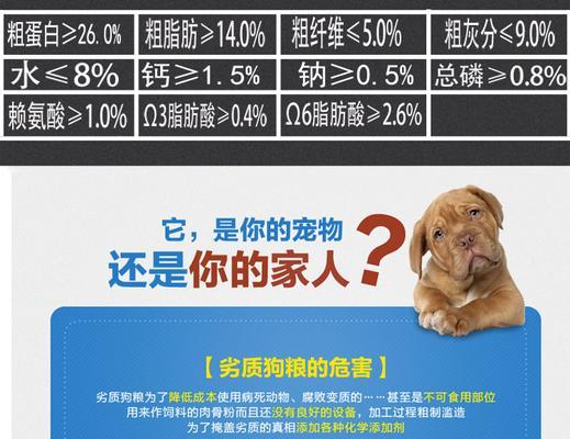 金毛犬的美毛食谱及喂养技巧(让你的金毛拥有健康亮丽的毛发,关键是科学合理的饮食)(图1) 金毛犬的美毛食谱及喂养技巧(让你的金毛拥有健康亮丽的毛发,关键是科学合理的饮食)(图1)