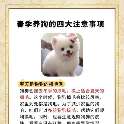 春季宠物换毛大作战（了解换毛的要注意事项，让宠物轻松度过春季）(图1)