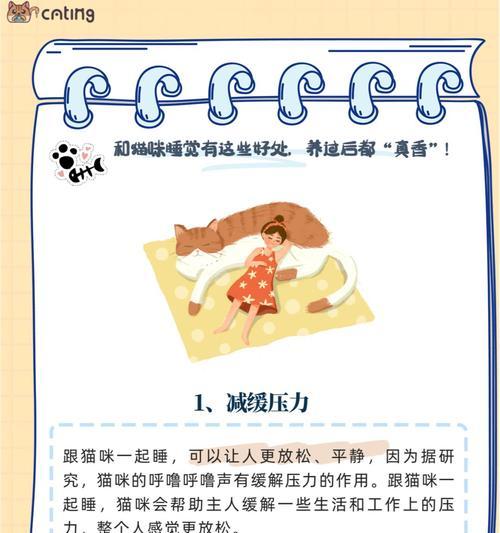如何训练猫咪不上床（有效方法和关键技巧教