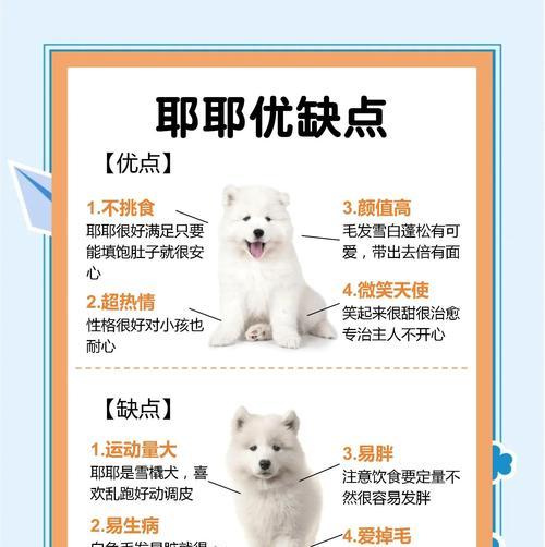 7个月萨摩多体外驱虫全攻略(为宠物的健康保驾护航!)(图2) 7个月萨摩多体外驱虫全攻略(为宠物的健康保驾护航!)(图2)