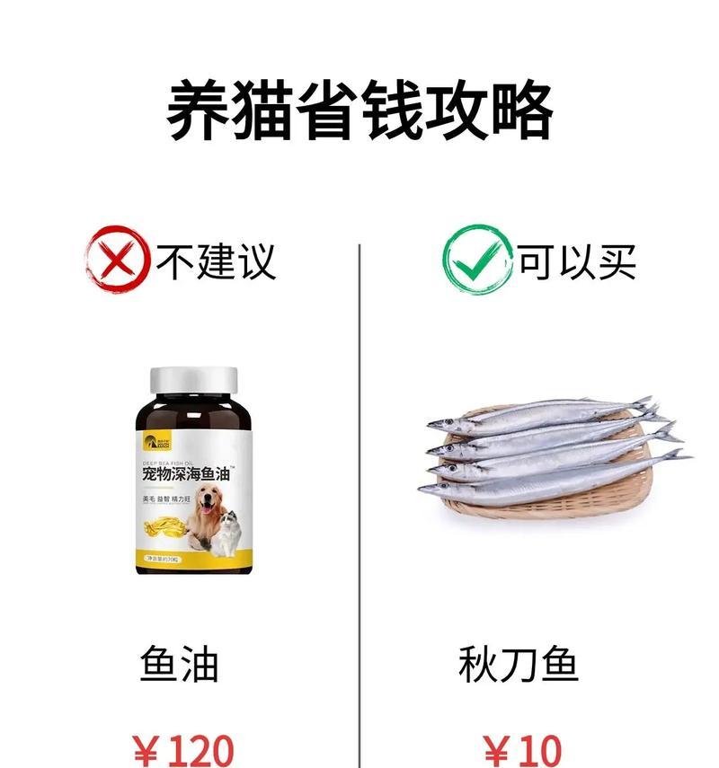 猫营养不良的症状及饮食调理方法(图1)