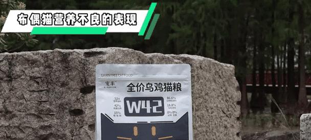 猫营养不良的症状及饮食调理方法(图2)