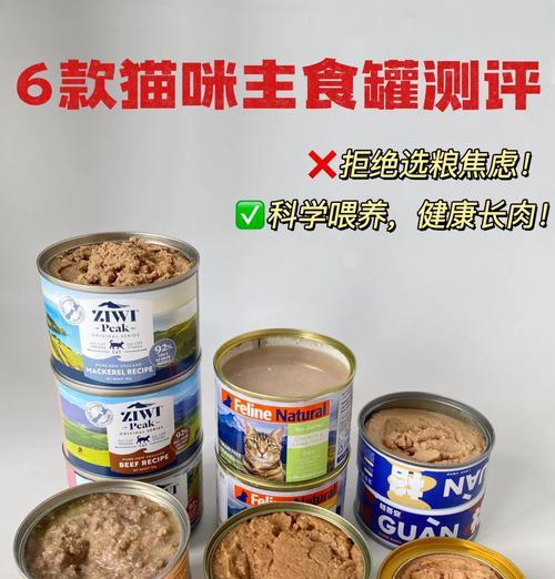 猫营养不良的症状及饮食调理方法(图3)