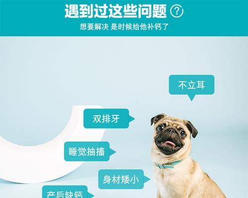 为什么给狗狗补充钙片很重要？（探索狗狗补充钙片的好处及适用情况）(图2)