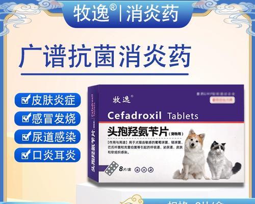 猫咪外伤消炎，照顾小猫咪健康的必备知识（详解如何正确处理猫咪外伤，保护它们的健康与幸福）(图3)