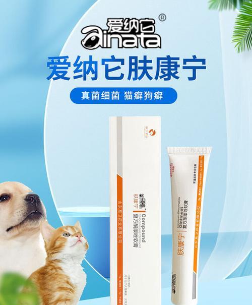 猫咪外伤消炎，照顾小猫咪健康的必备知识（详解如何正确处理猫咪外伤，保护它们的健康与幸福）(图1)