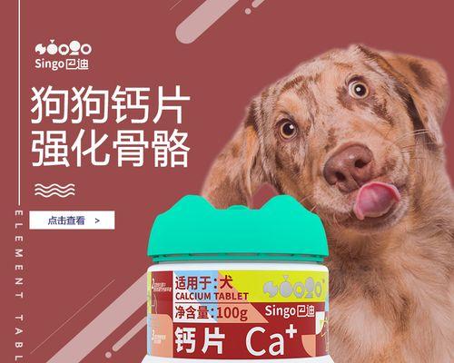 为什么给狗狗补充钙片很重要？（探索狗狗补充钙片的好处及适用情况）(图3)