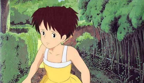 龙猫抗生素（探索龙猫使用抗生素的必要性及安全性）(图2)