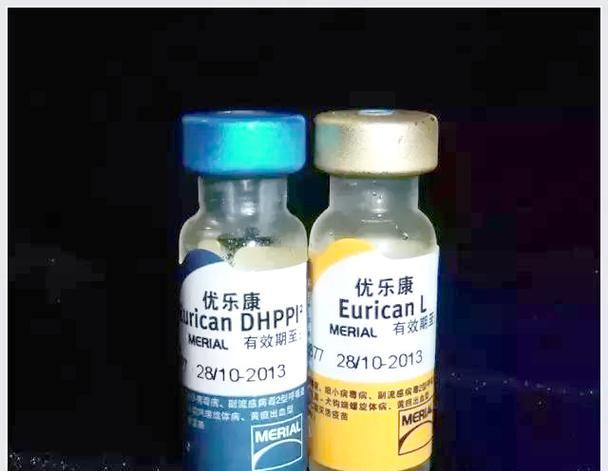 六联狗疫苗的接种时间间隔（了解六联狗疫苗接种的最佳时间间隔）(图1)