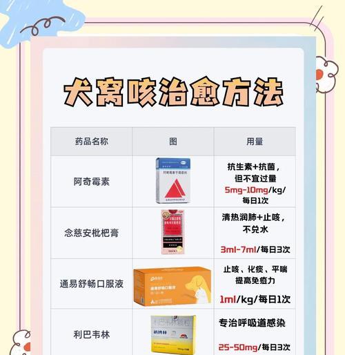犬窝咳多久可以治愈？（治疗犬窝咳的关键措施与预防方法）(图2)