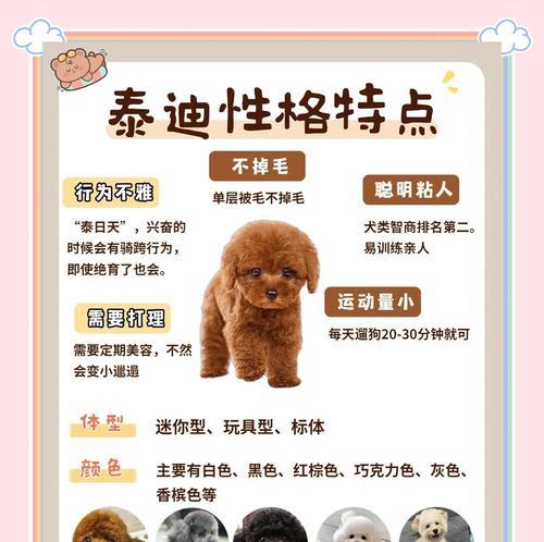 泰迪犬狂犬疫苗接种后的洗澡时间（疫苗注射后多久才能为你的泰迪犬洗澡？）(图2)