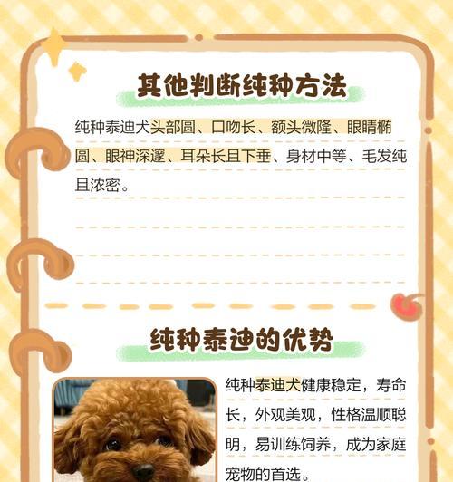 泰迪犬狂犬疫苗接种后的洗澡时间（疫苗注射后多久才能为你的泰迪犬洗澡？）(图3)