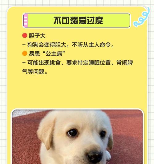 拉布拉多价格下降，养她的人却不增加（探究拉布拉多市场供需的变化与人们购买行为的影响）(图2)