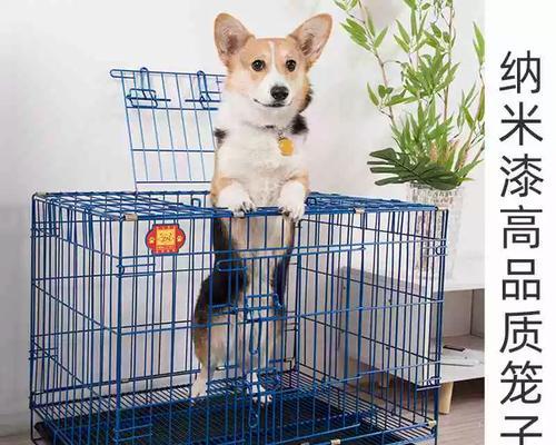 小狗在笼子里待多久合适？（狗宝宝的成长需要适当的自由时间）(图1)