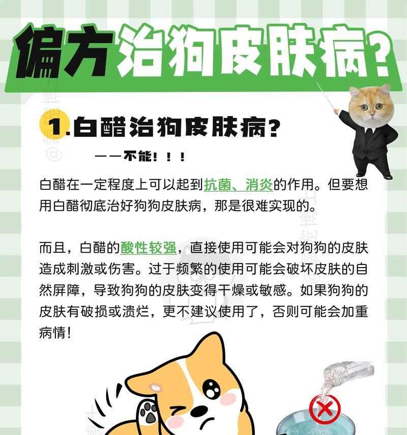 以幼犬预防皮肤病,哪种药物更好?(选择适合幼犬的药物预防皮肤病是关键)(图2) 以幼犬预防皮肤病,哪种药物更好?(选择适合幼犬的药物预防皮肤病是关键)(图2)