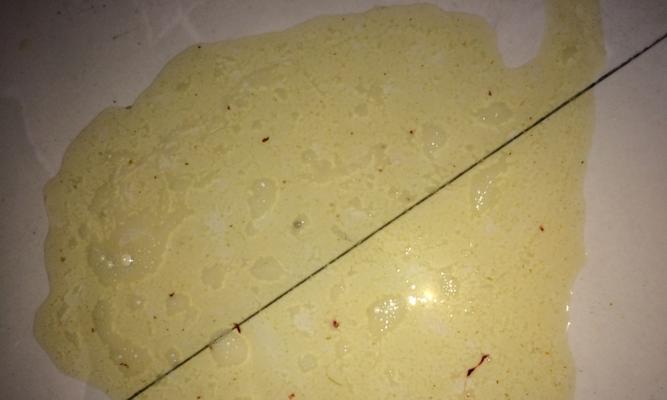 狗瘟血清（探究狗瘟血清的有效性及使用时机）(图2)